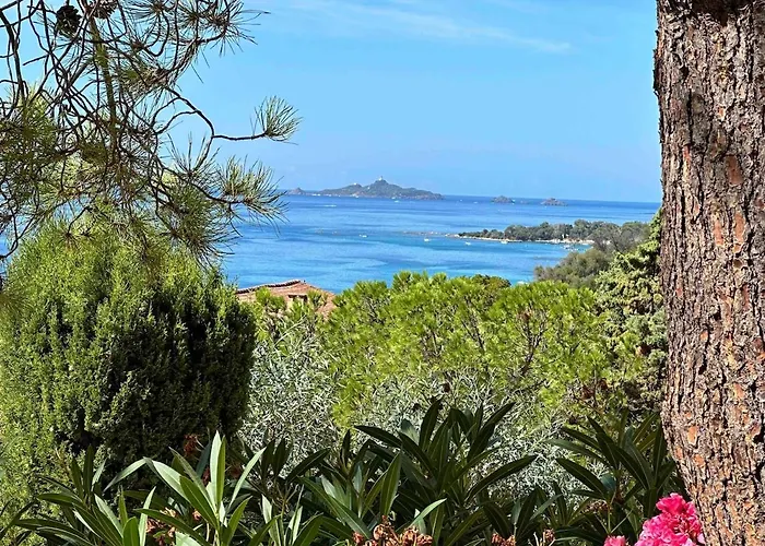 Vue * Ajaccio (Corsica)